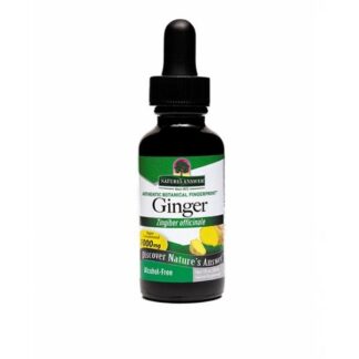 NA GINGER GENGIBRE S.ALC 30ML
