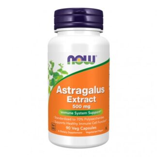 Astragalus Extract 500 mg