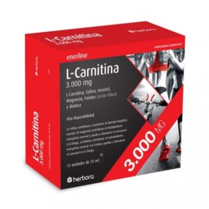 L-carnitina 3.000 mg (alta disponibilidade)