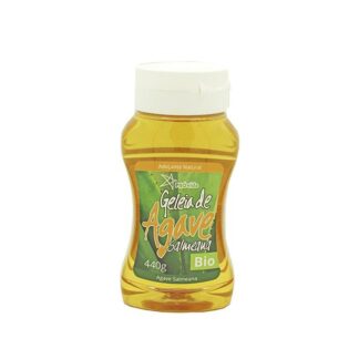 Geleia de Agave Salmeana Light BIO 440g
