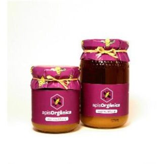 Mel Multifloral BIO ApisOrgânica 500g