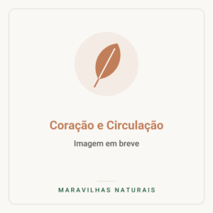 Imagem em breve — Coração e Circulação