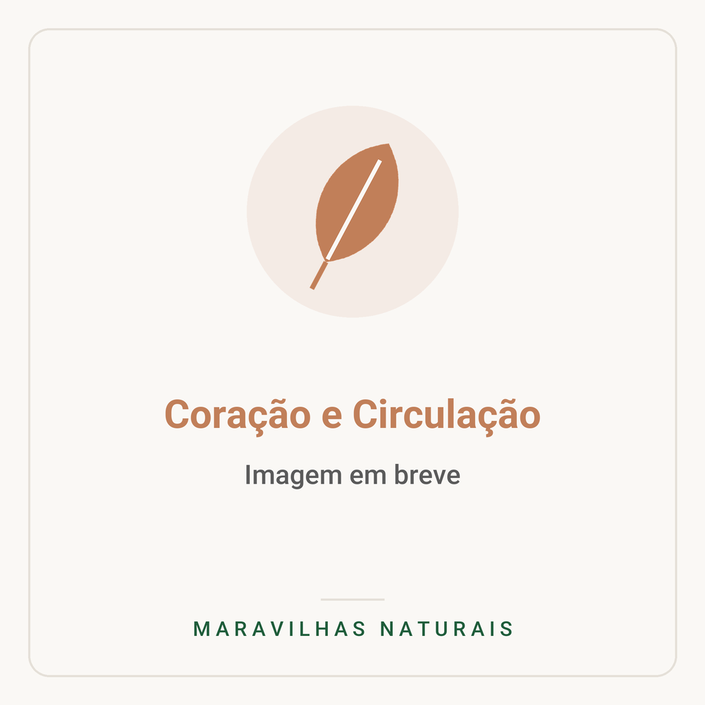 Imagem em breve — Coração e Circulação