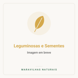 Imagem em breve — Leguminosas e Sementes