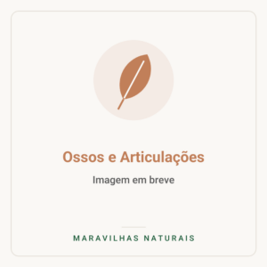 Imagem em breve — Ossos e Articulações